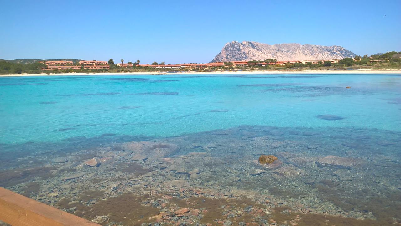 سان تيودورو Residence Porto Coda Cavallo المظهر الخارجي الصورة