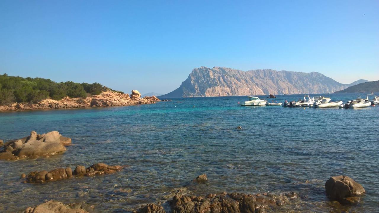 سان تيودورو Residence Porto Coda Cavallo المظهر الخارجي الصورة