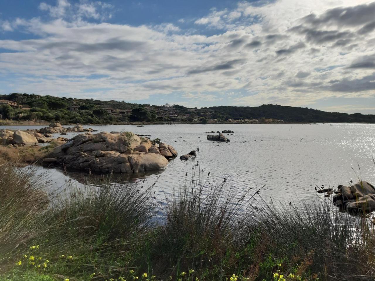 سان تيودورو Residence Porto Coda Cavallo المظهر الخارجي الصورة